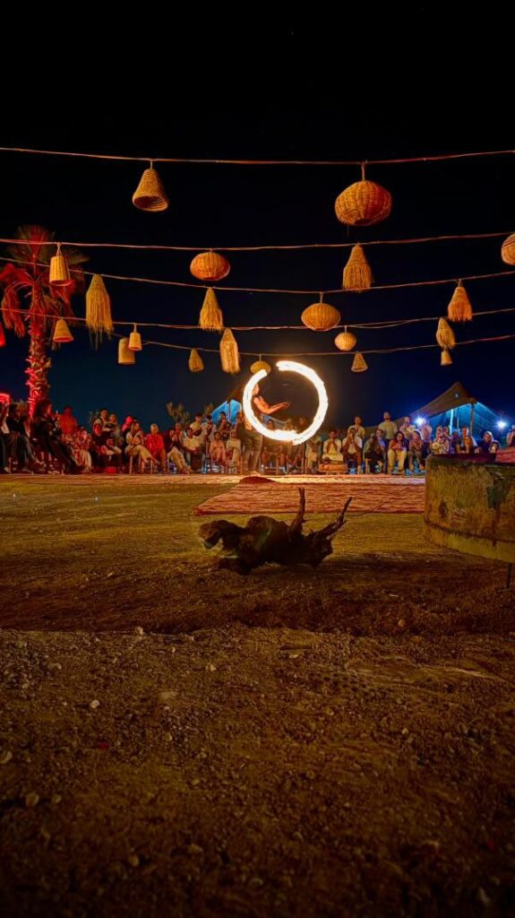 IMG_20241126_120437_713