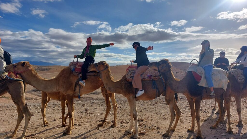 WhatsApp Image 2025-03-25 at 22.41.12 (1)